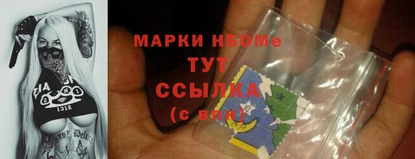 гашик Сосновка