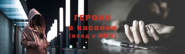 гашик Сосновка