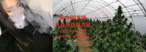 гашик Сосновка