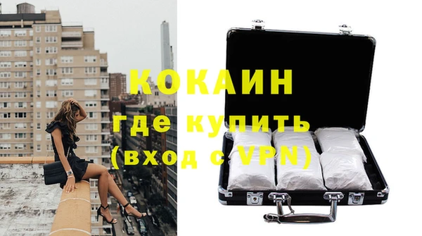 гашик Сосновка