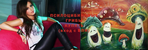 крисы Бугульма