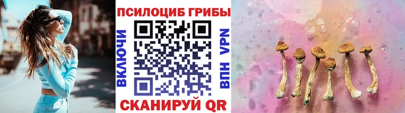 Галлюциногенные грибы прущие грибы  МЕГА ссылка  Трёхгорный  где найти наркотики 